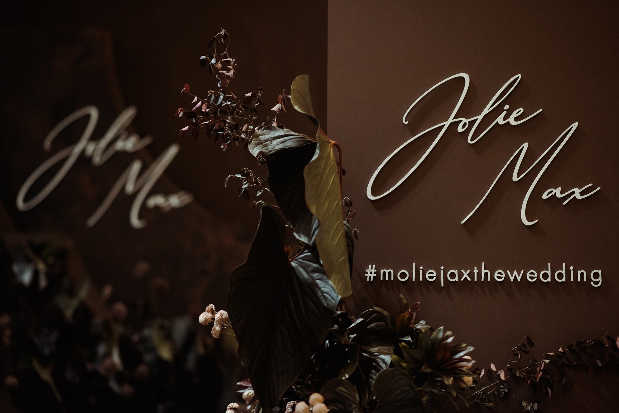 jolie + max web 1.jpg