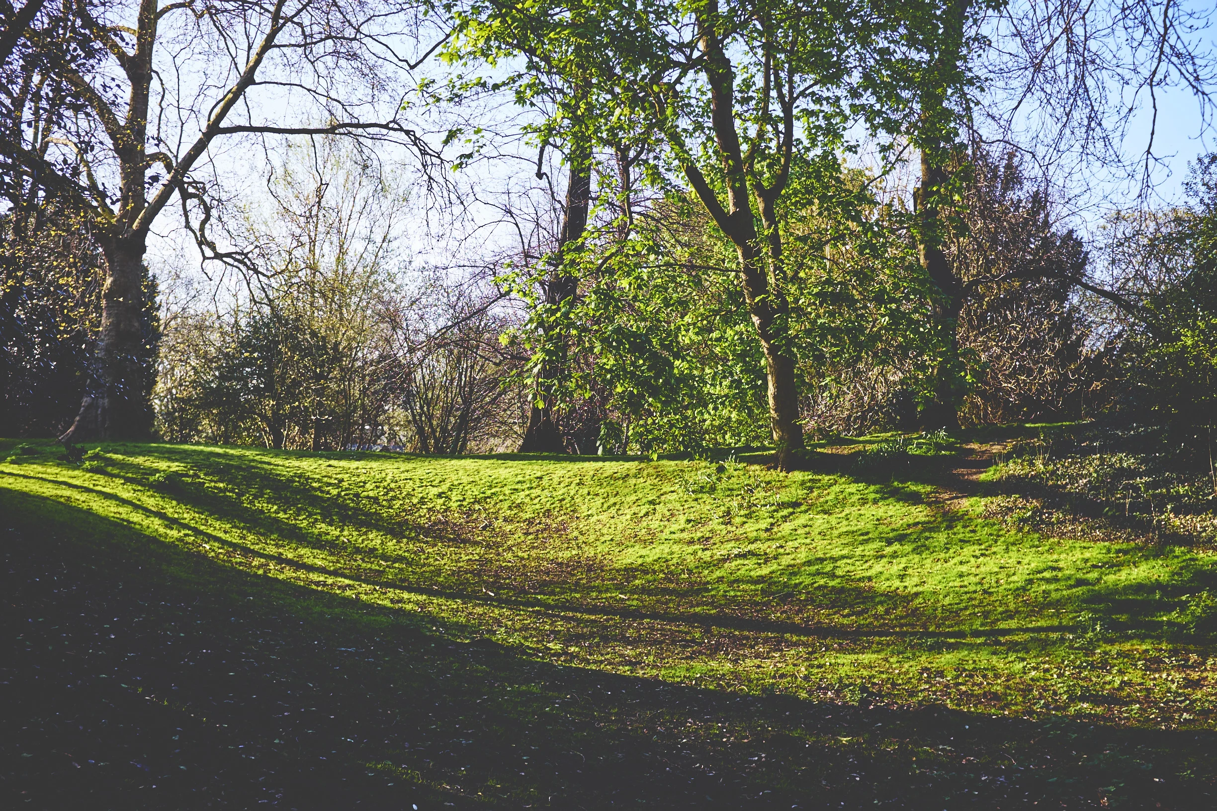 MY_LONDON_0054.jpg