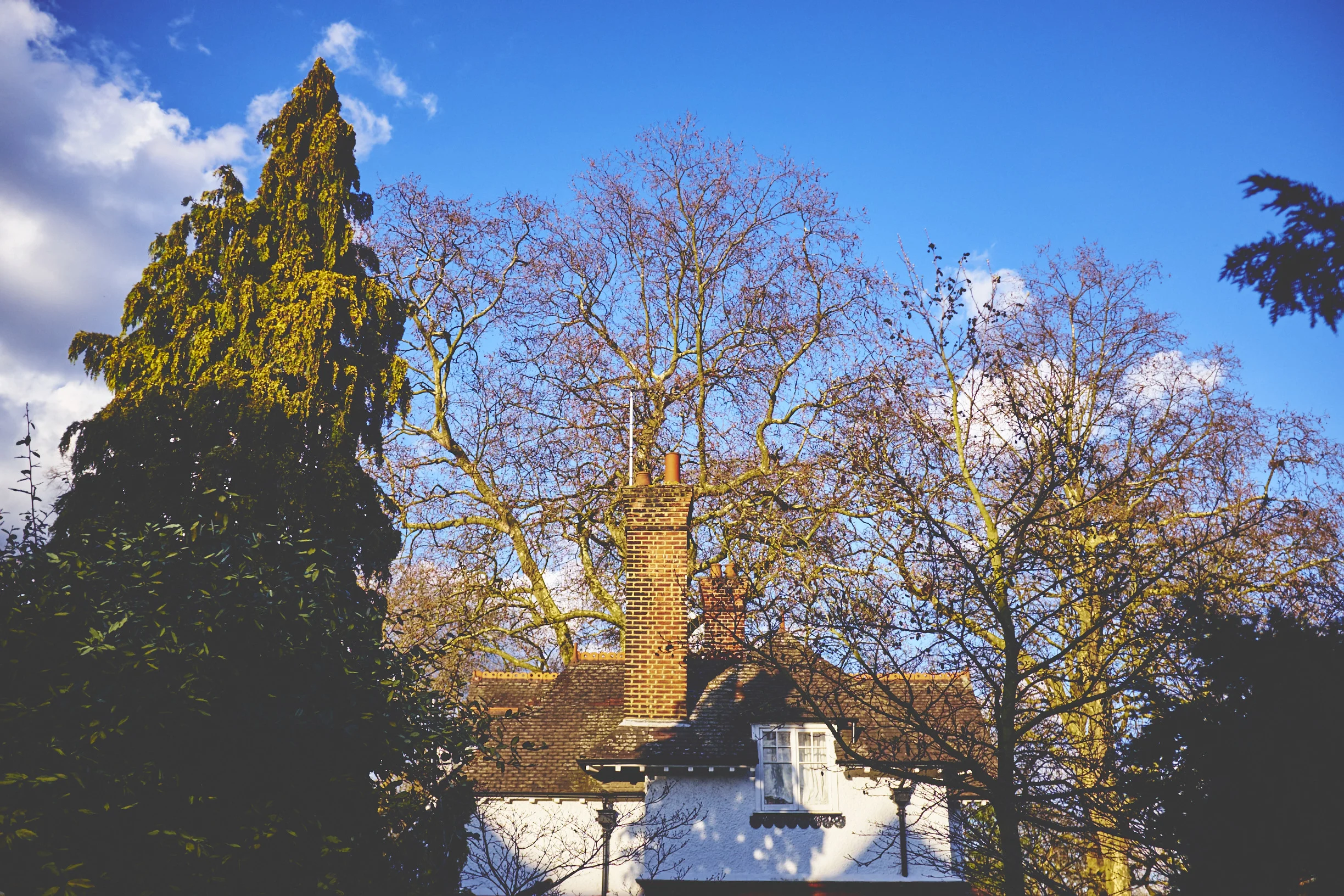 MY_LONDON_0019.jpg