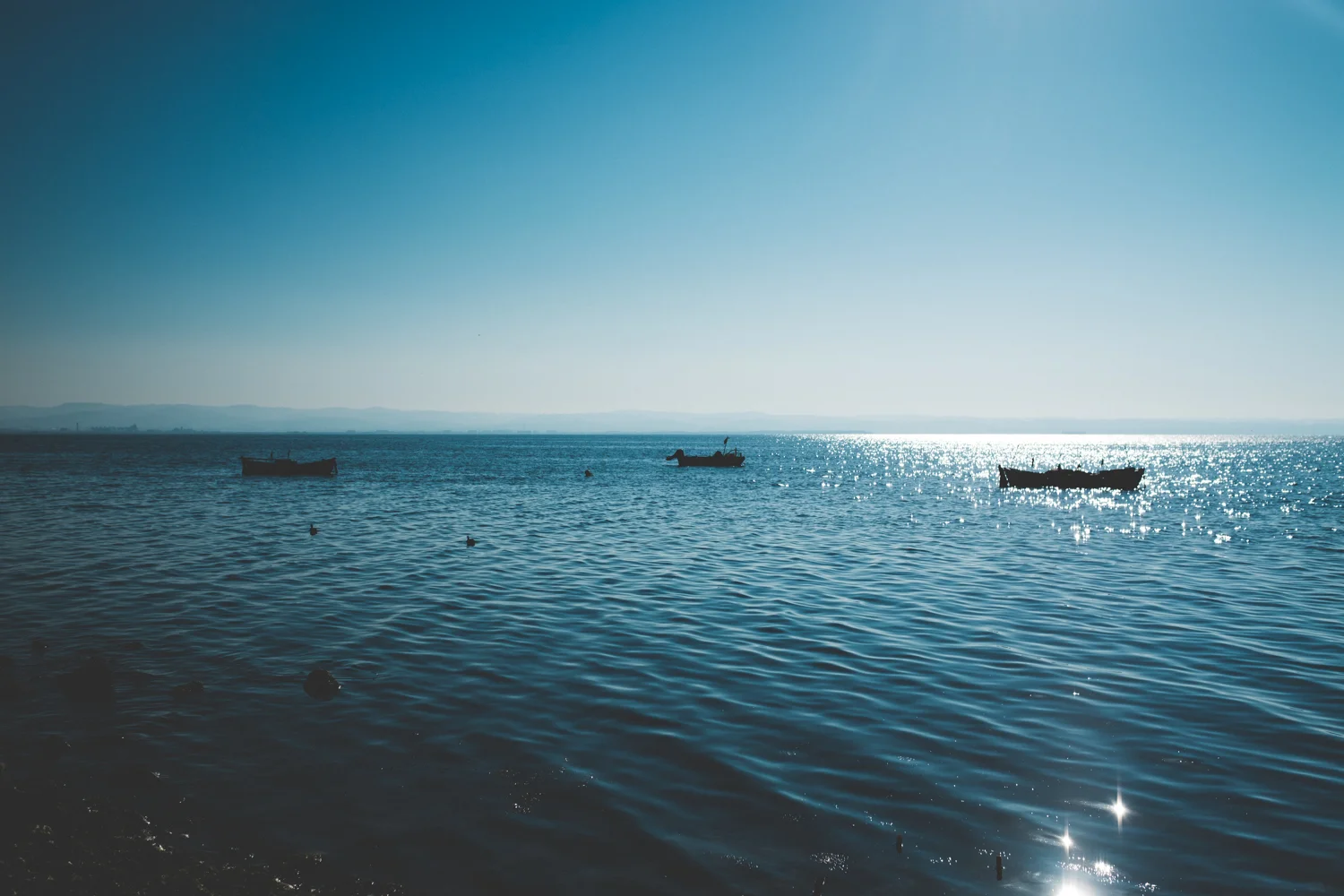 DSCF9230.jpg