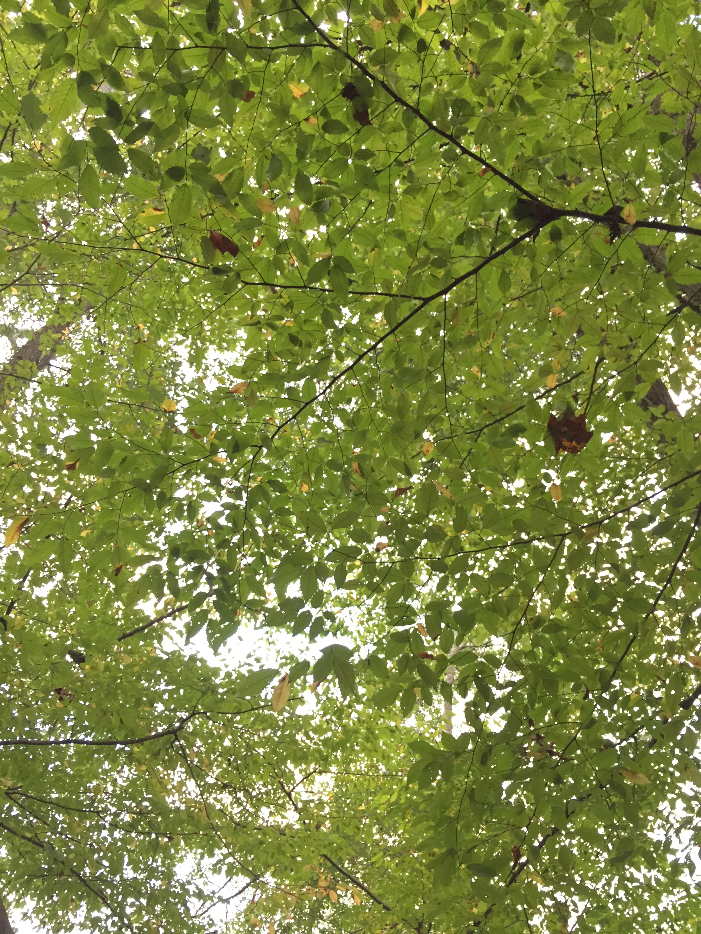 Visit nature for a bit :)