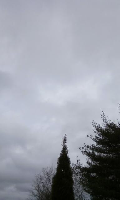 IMG_20150326_164551.jpg