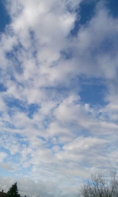 IMG_20150326_174358.jpg