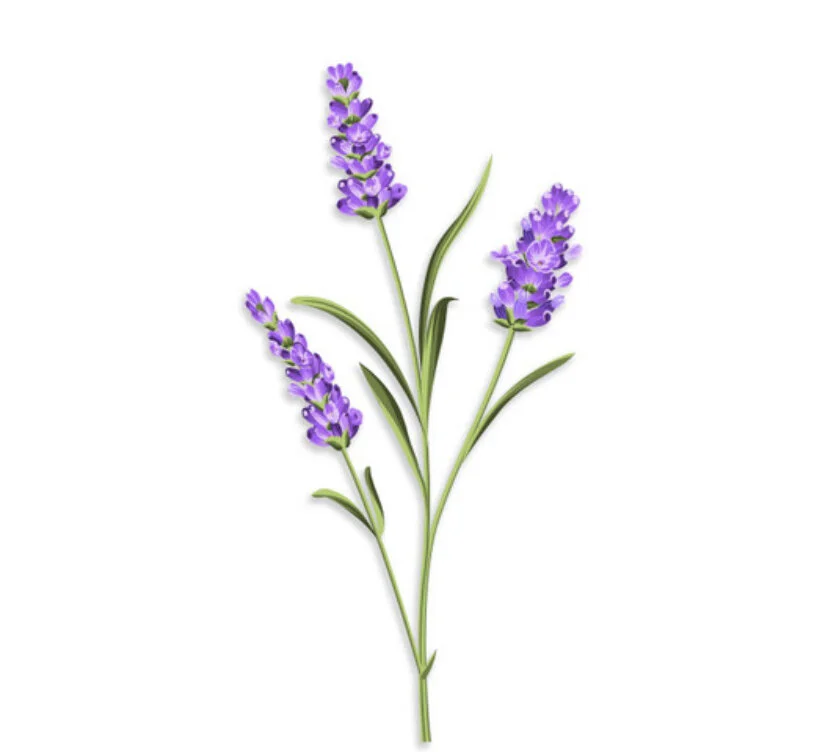 1B76BFC8-0A91-41C2-B345-261F70C5A334