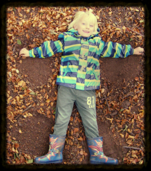 Leaf angel