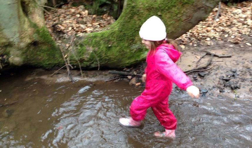 Walk the Dingle stream!