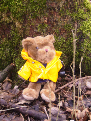PADDLINGTON BEAR went for a paddle. Found under a bridge taking life easy!