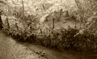 A hazel hurdle/habitat pile made by 2 - 14 year olds and parents.