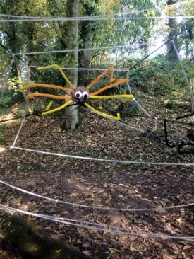 Our spooky spider web for halloween.