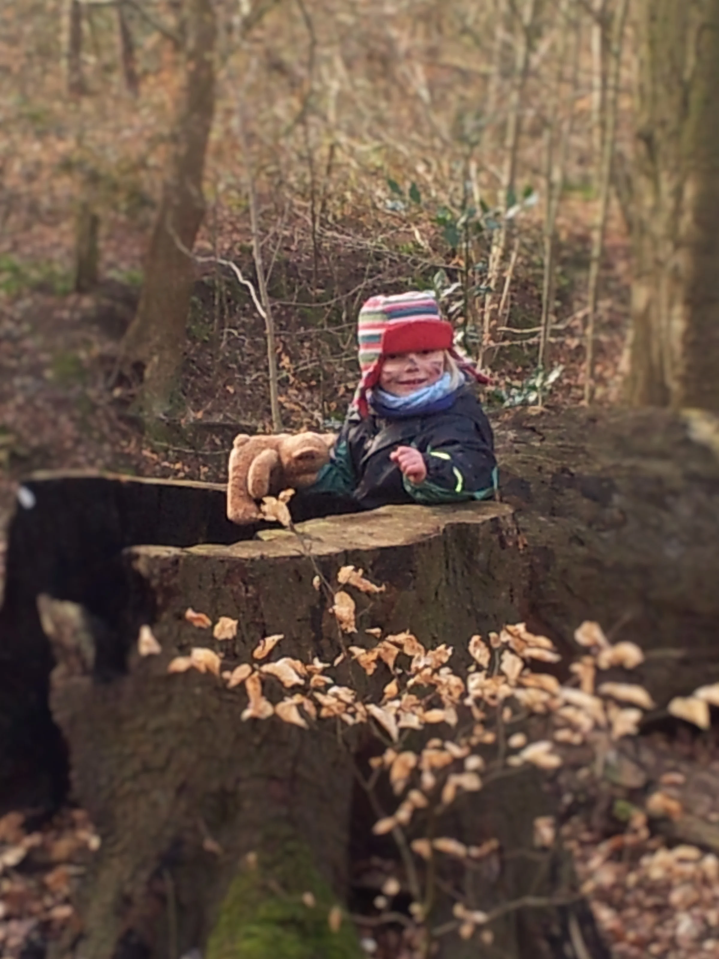 stumped.jpg