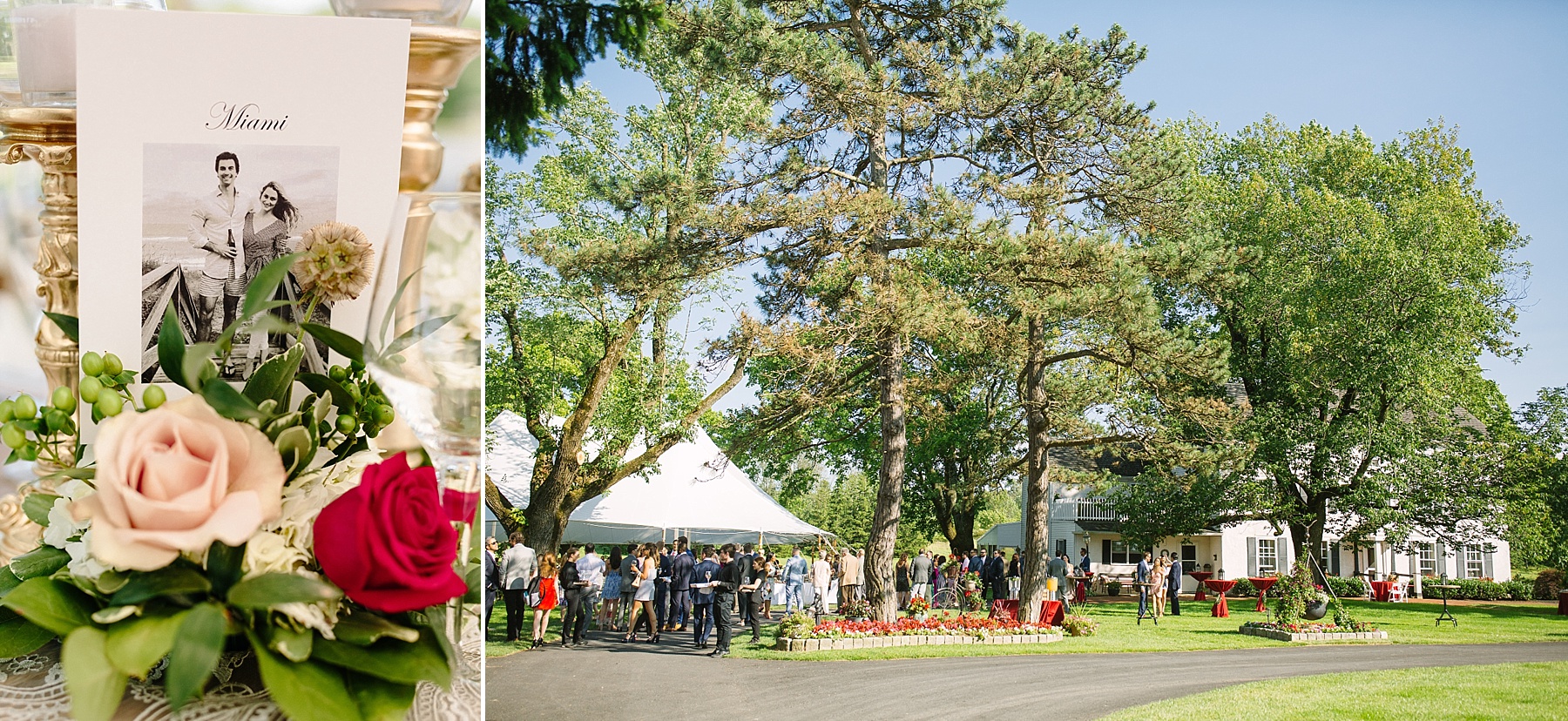  Ashley Mac Photographs | NJ Wedding photographer | PA Wedding photographer | Shan-Gri-La Farm Wedding | Shan-Gri-La Farm | Sellerville PA Wedding photographer | Plumsteadville PA wedding photographer, Pennsylvania wedding, wedding photography, outdoor summer wedding 