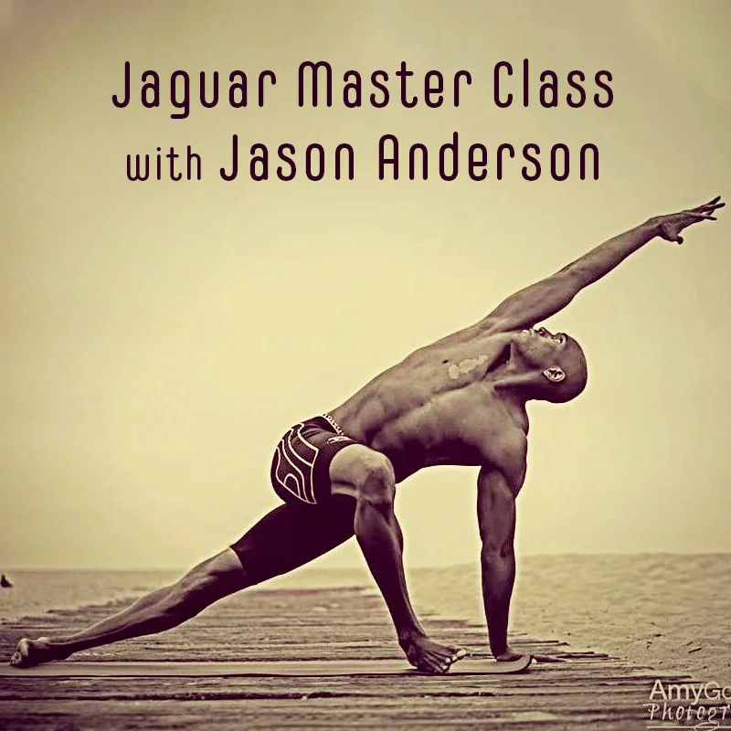 JaguarMaster_Jason_Anderson_800px.jpg