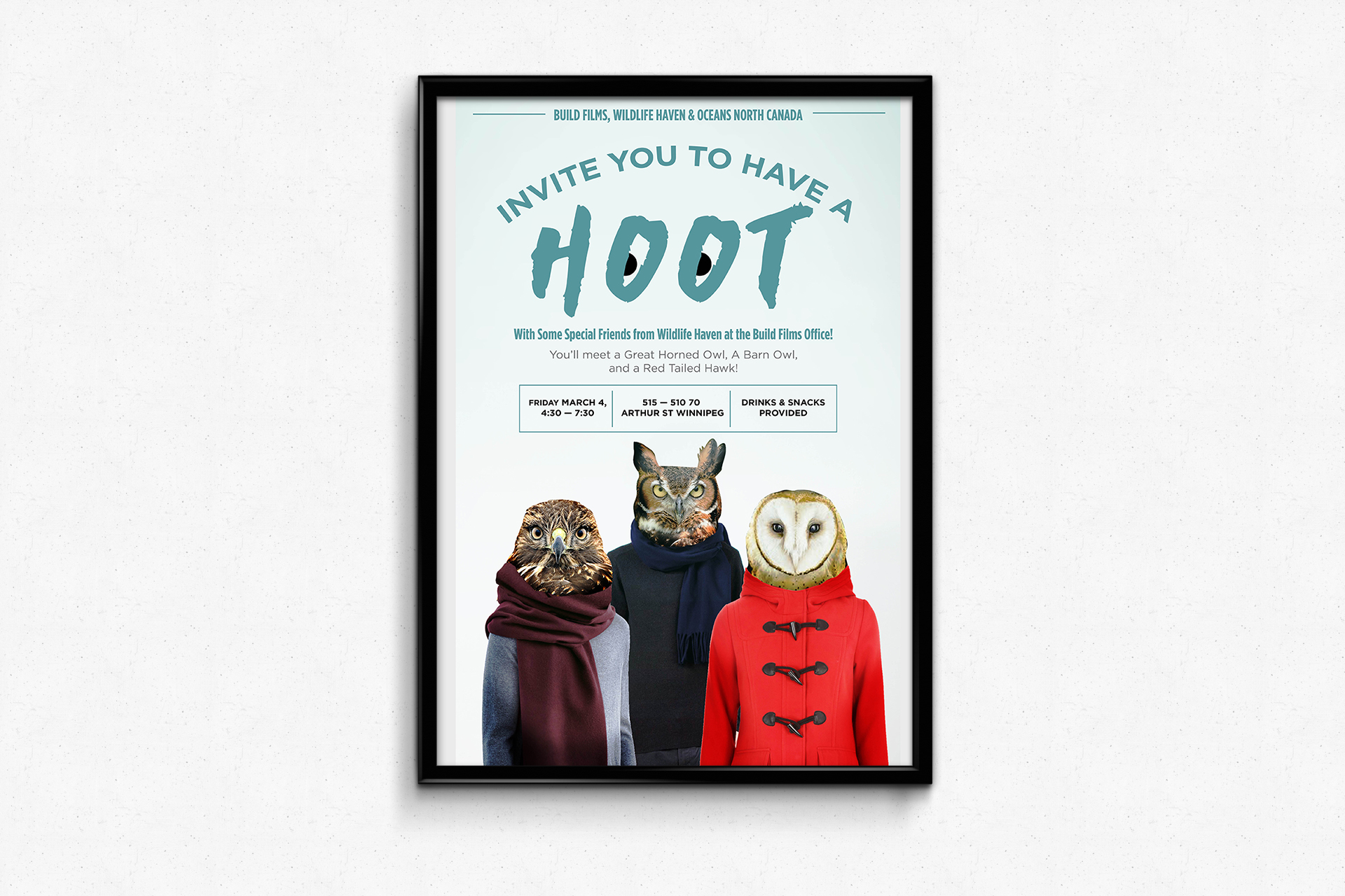 Have a Hoot