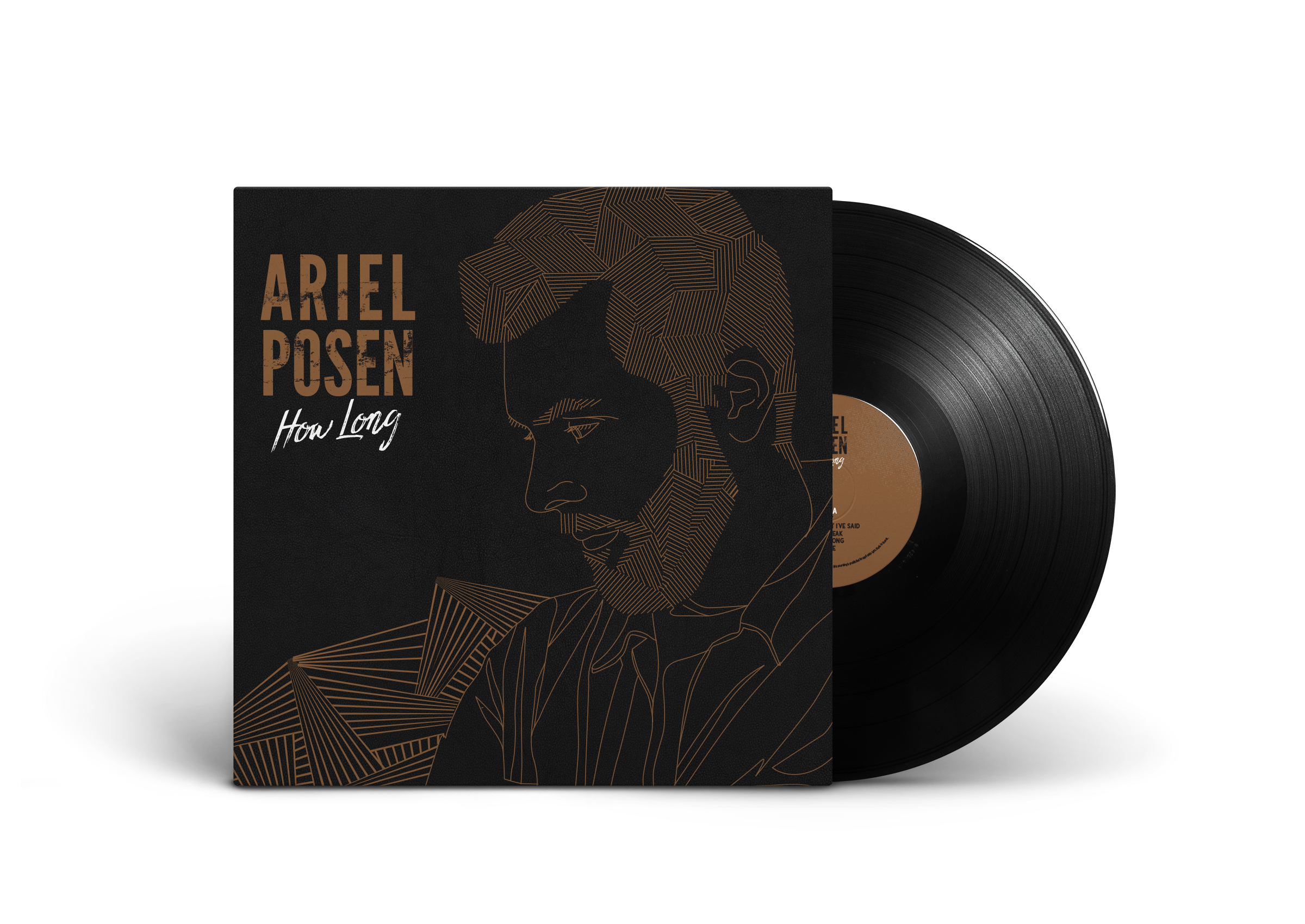 Vinyl Record PSD MockUp.png
