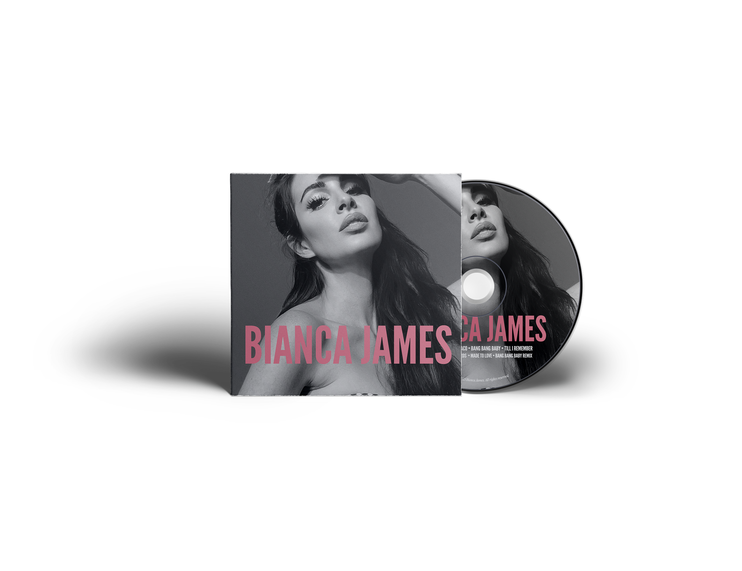 disk-and-cover-presentation-mock-up 3.png
