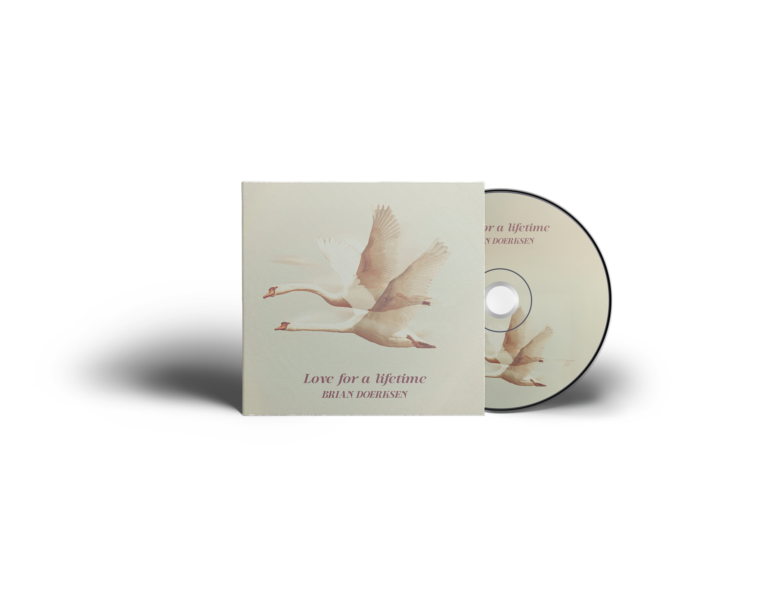 disk-and-cover-presentation-mock-up 2.png