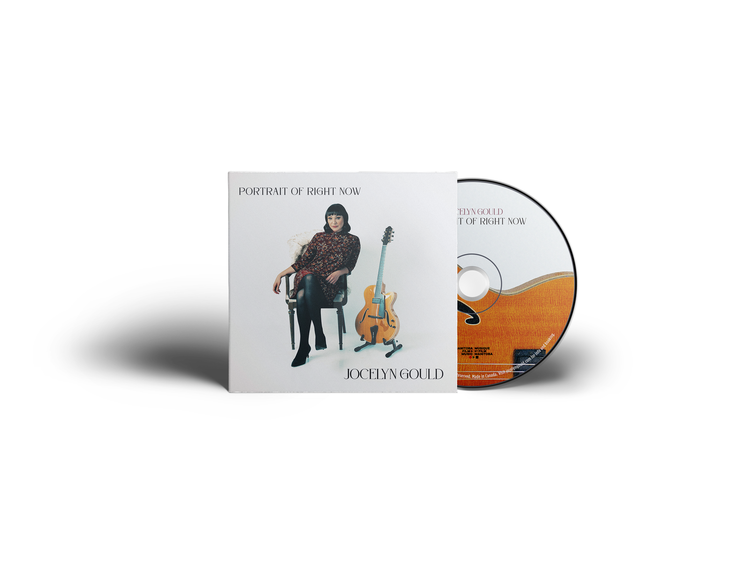 disk-and-cover-presentation-mock-up 2.png