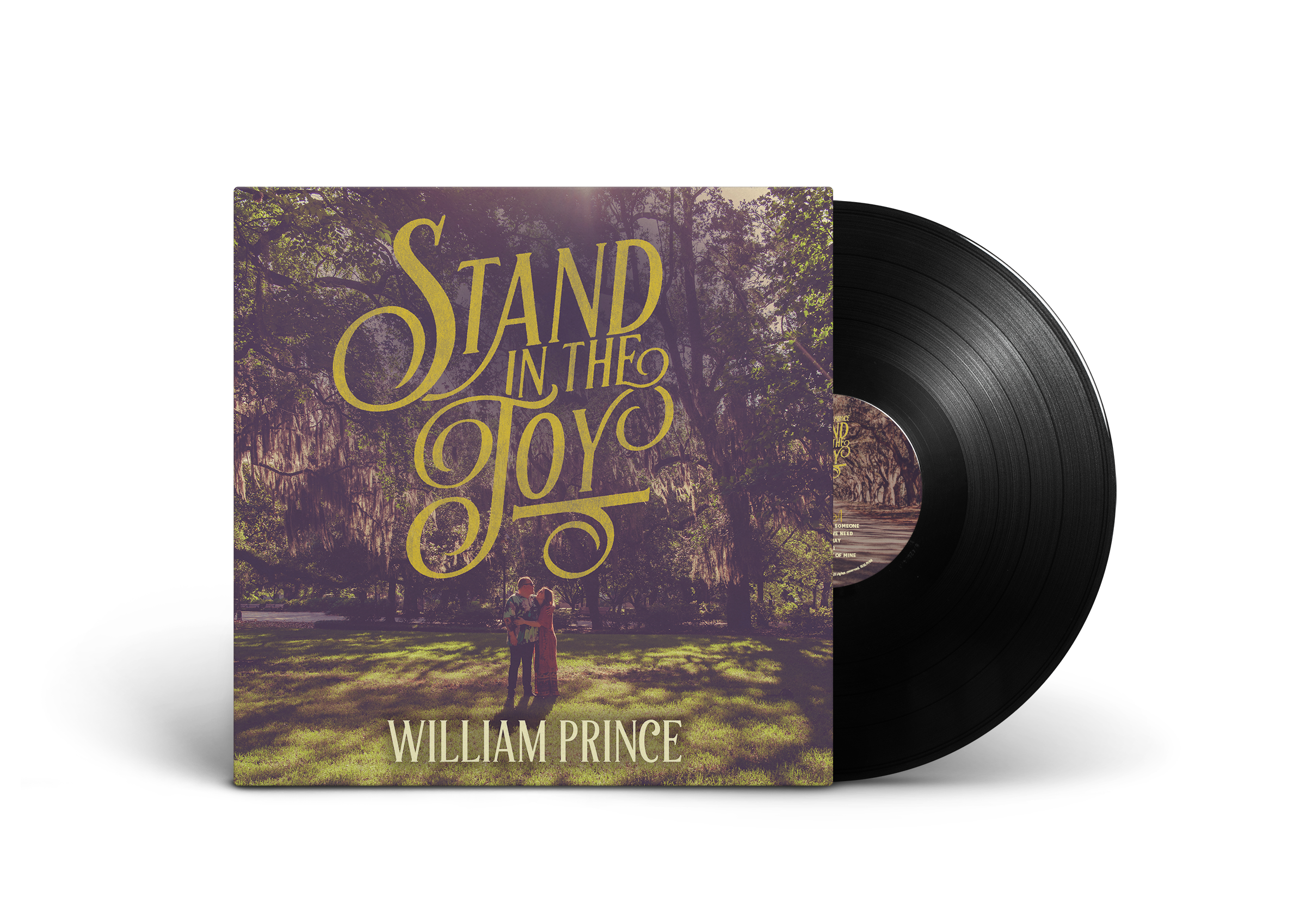 Vinyl Record PSD MockUp.png