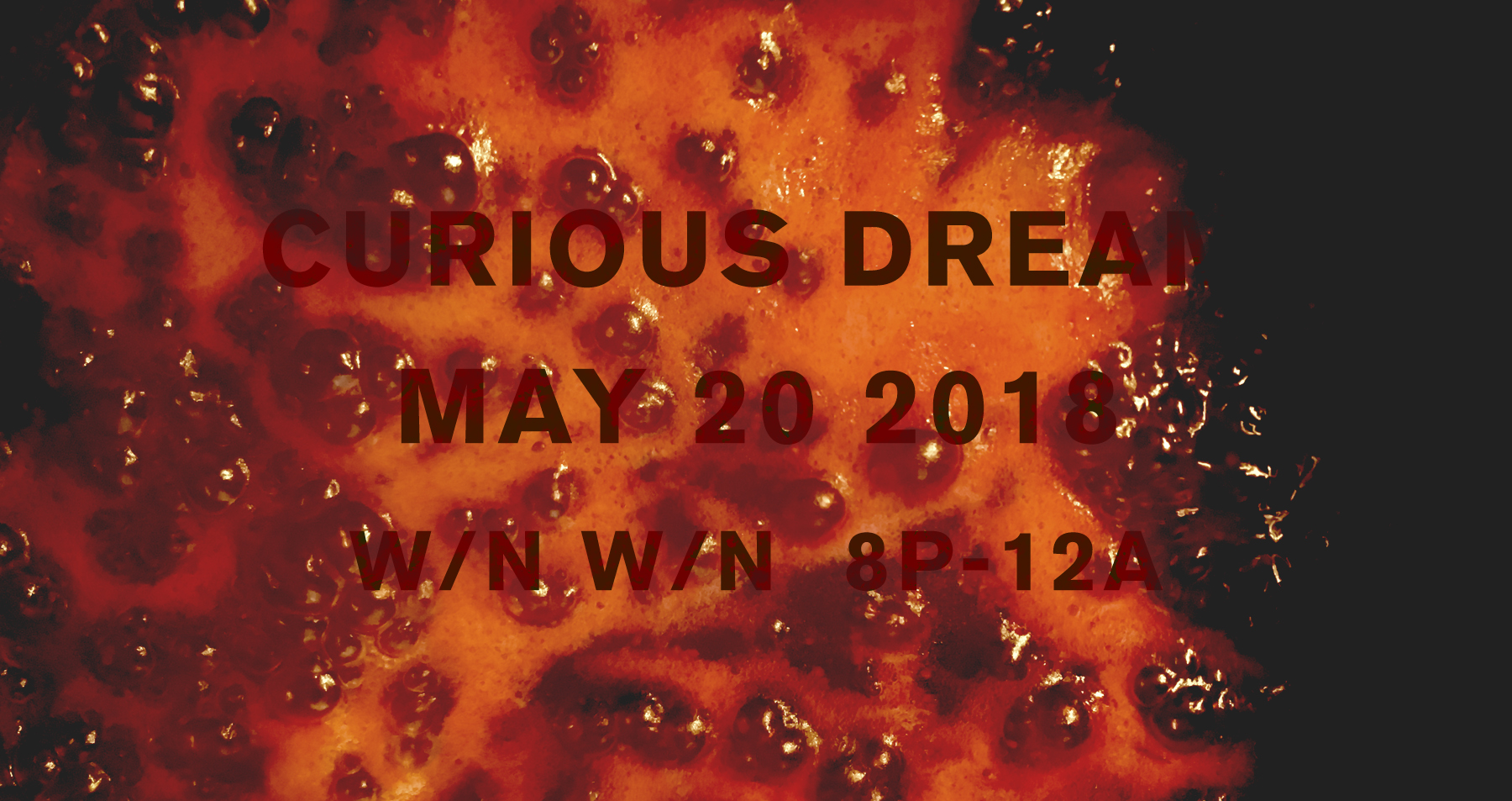 CuriousDream_May2018_Banner.jpg