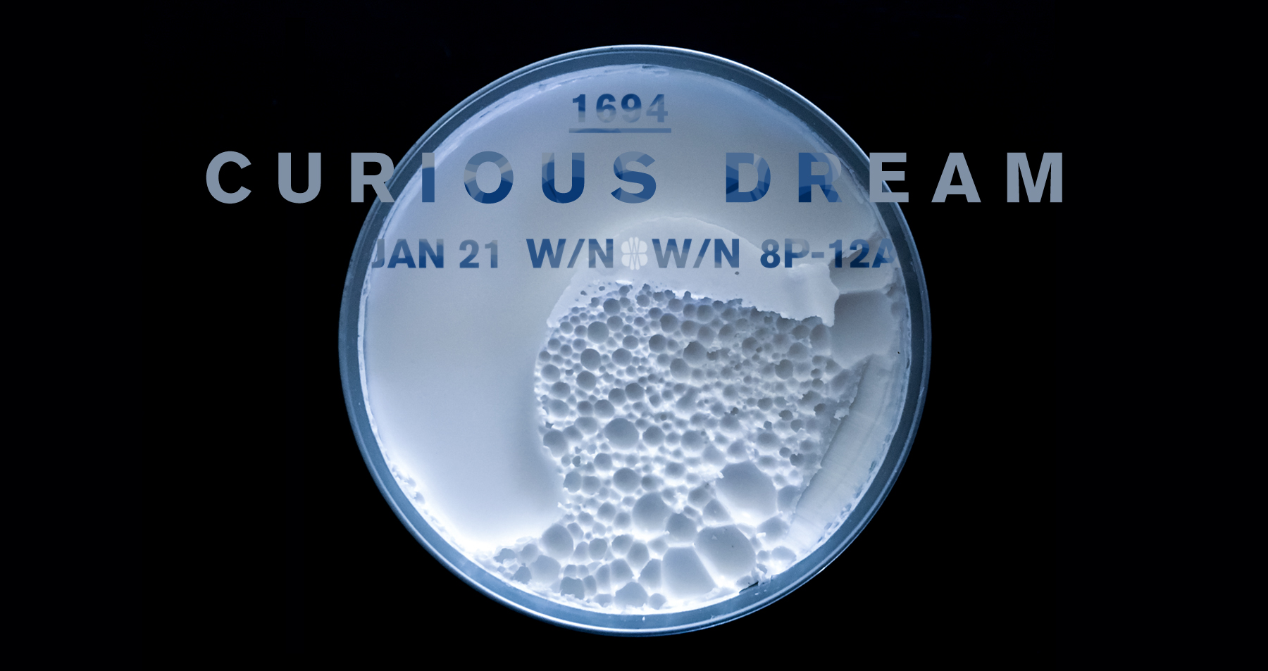 CuriousDream_JAN2018_Banner.jpg