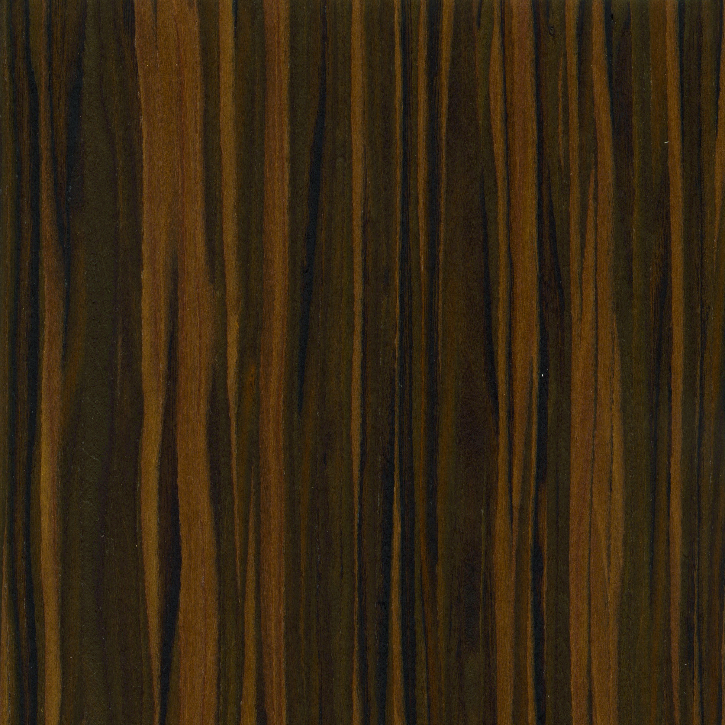 Ebony Safari