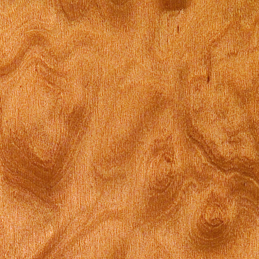 Pearwood Burl