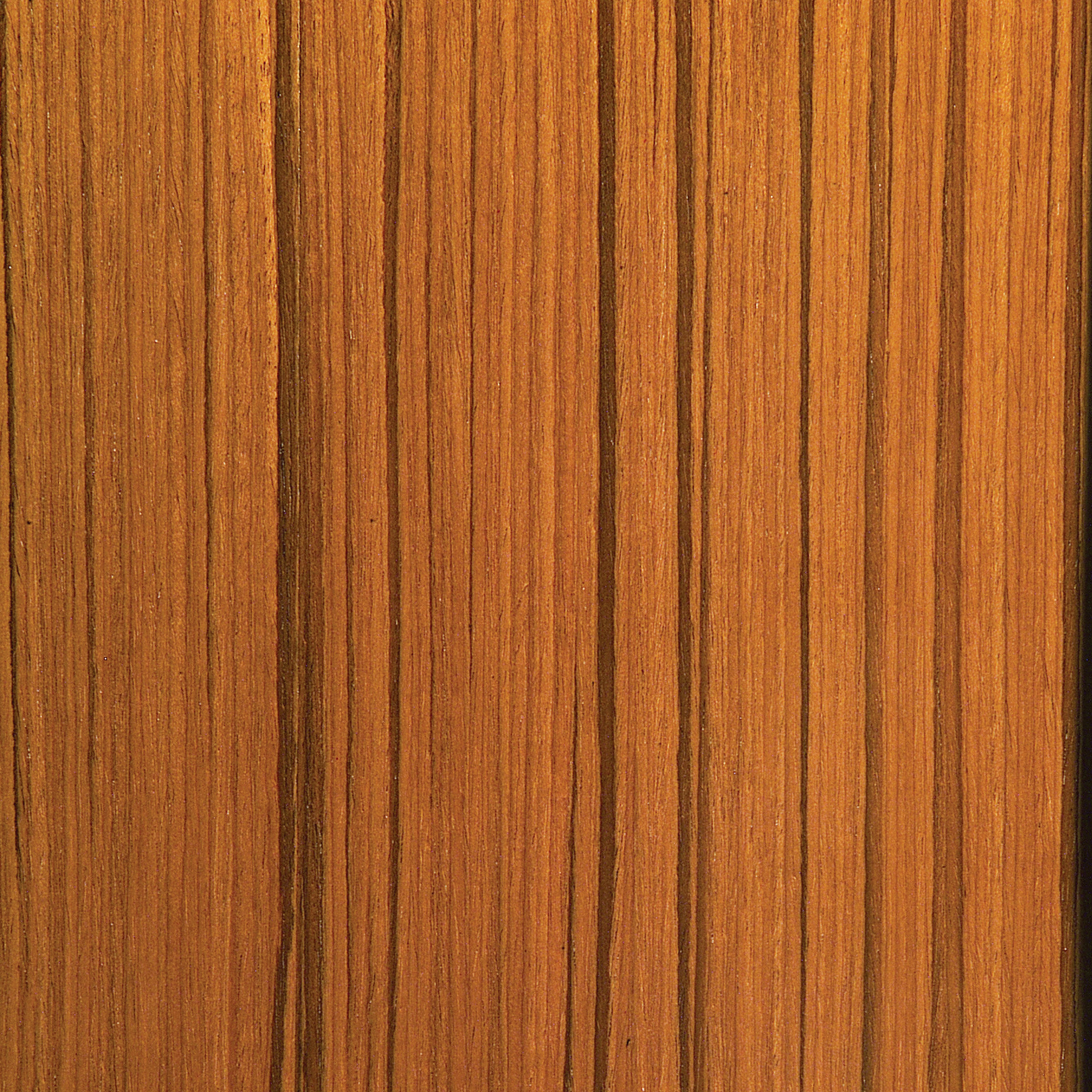 Teak Straight Grain