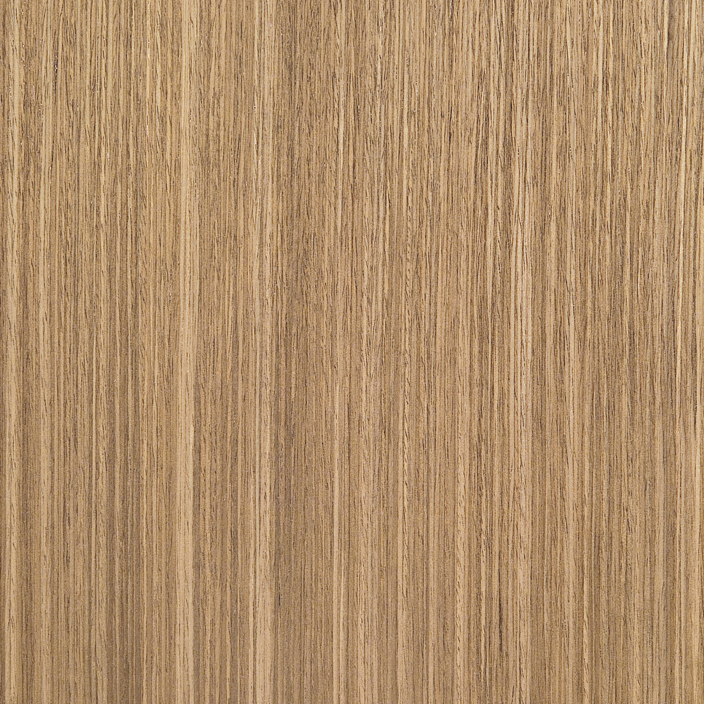 Walnut Straight Grain