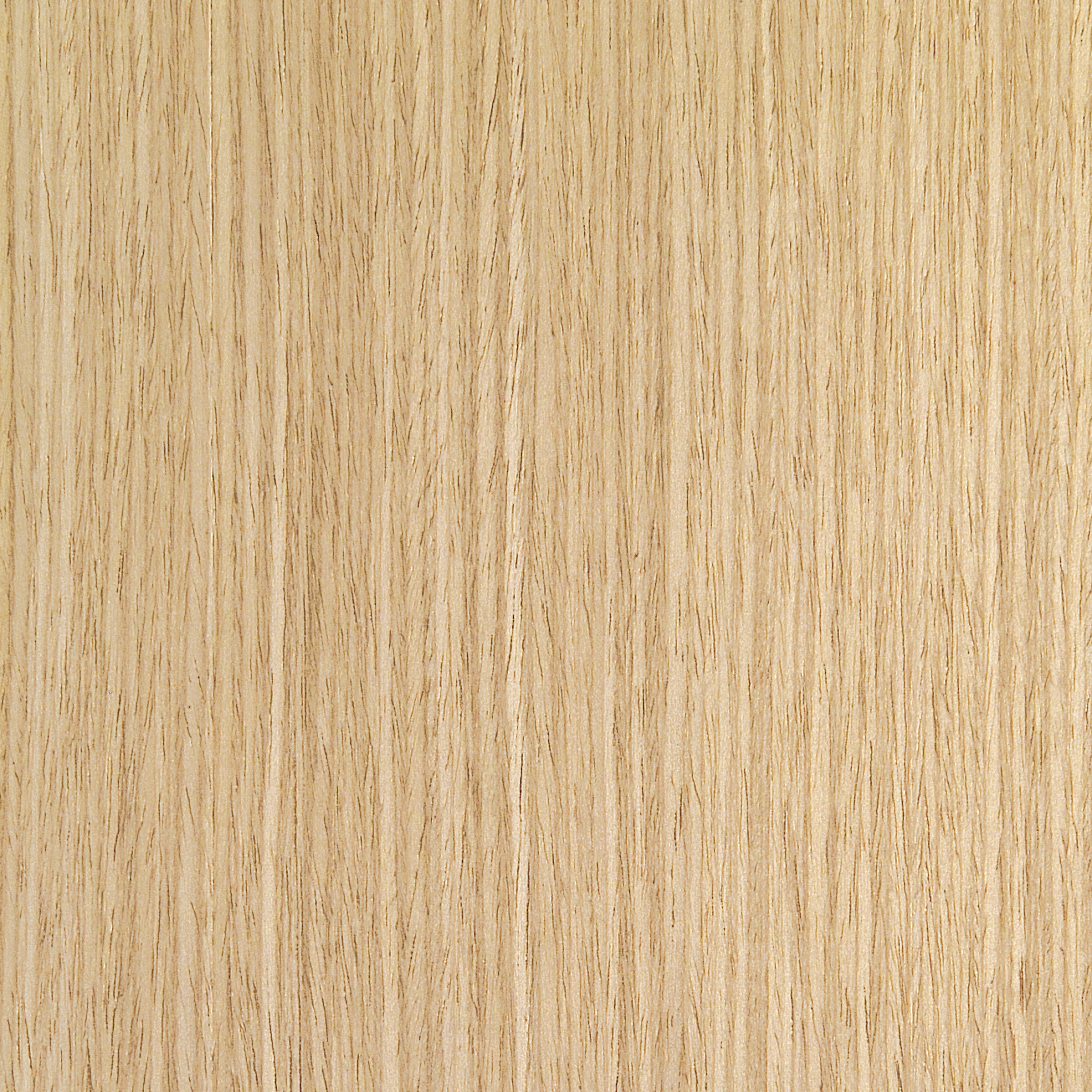 White Oak Groove