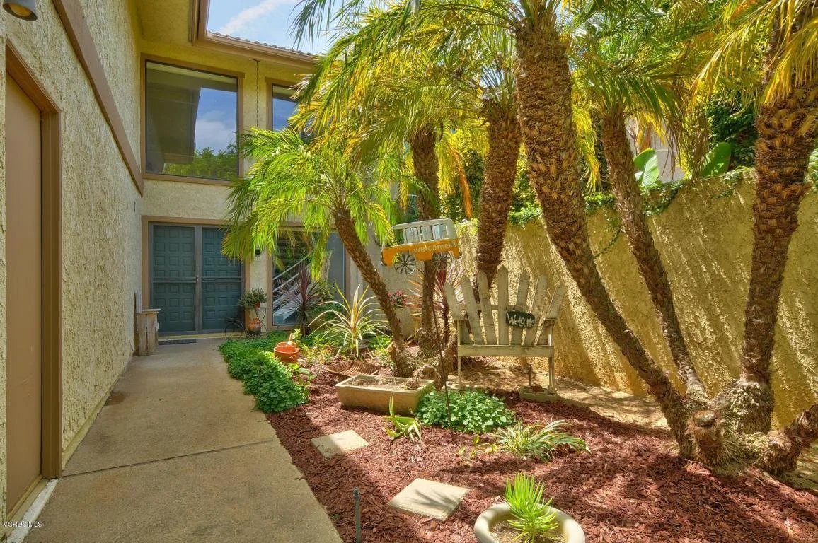 front yard.jpg
