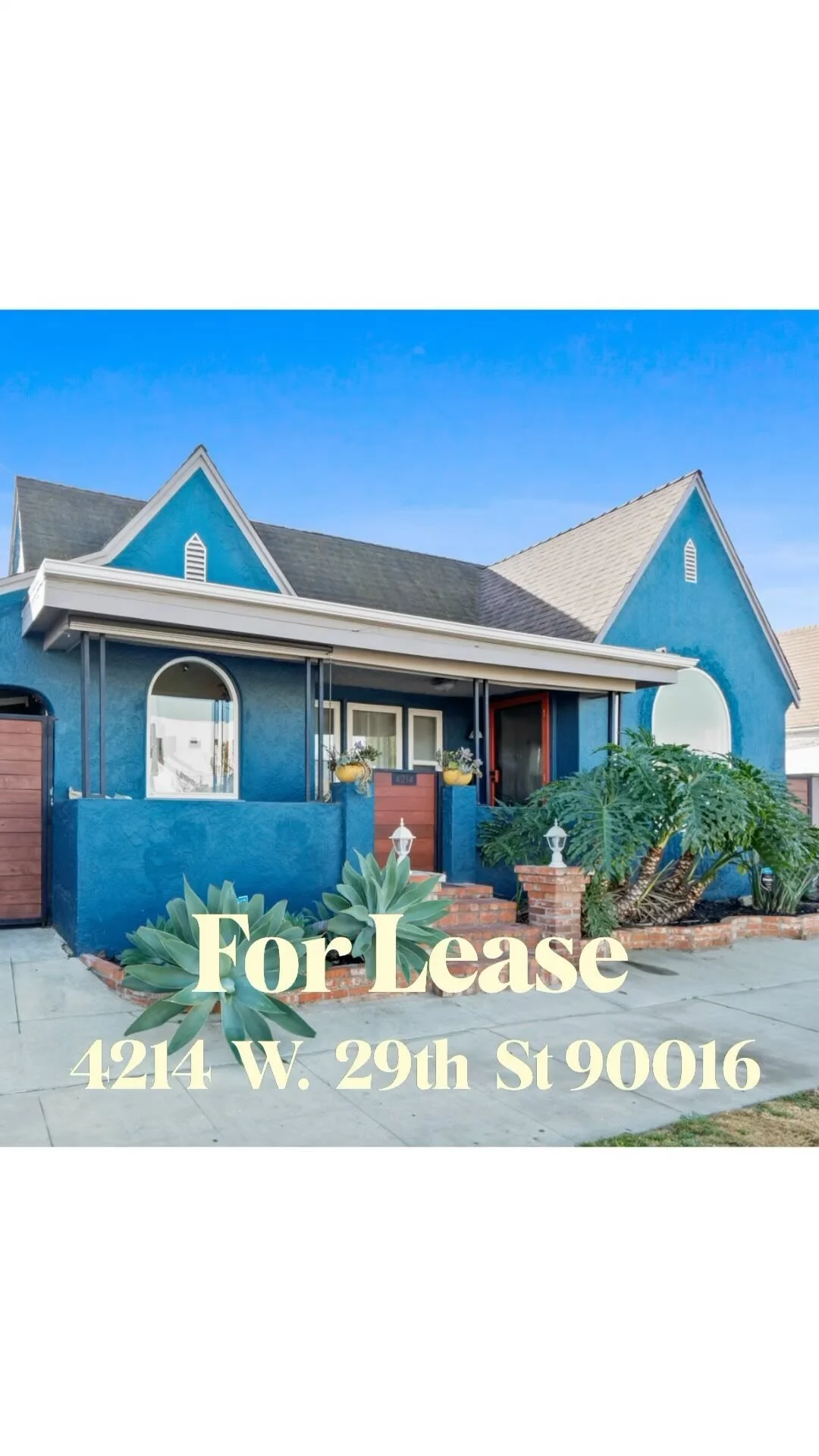 Real Estate Collective