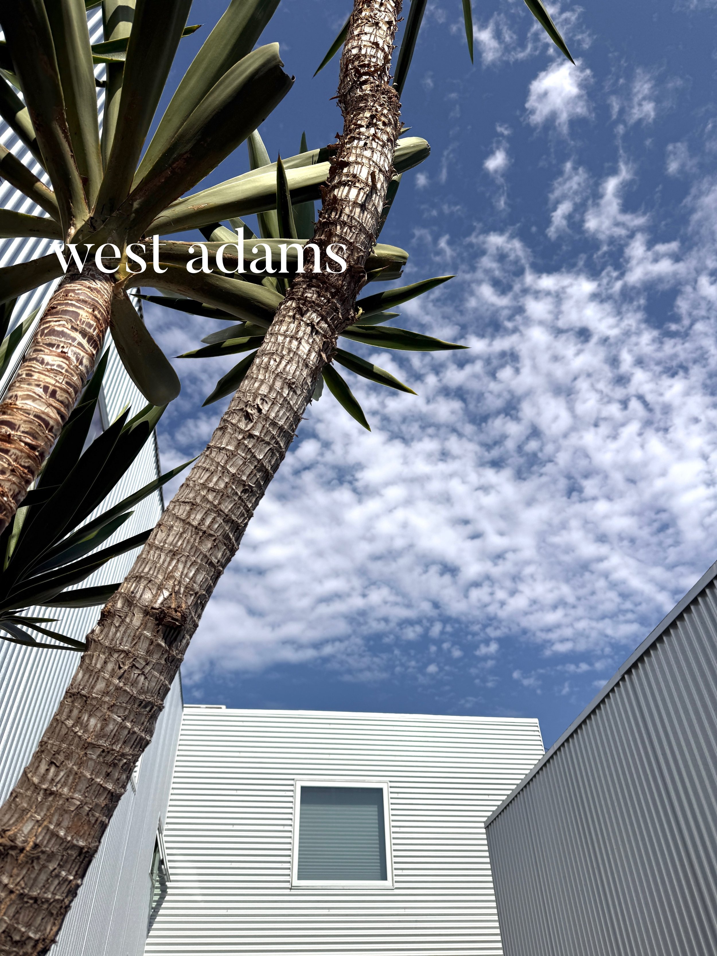 🌿FOR SALE🌿

5418 Smiley Dr 90016

Listed for $1,349,000

Rare opportunity in the heart of West Adams. Includes 3 addresses: 5416, 5418, and 5418 1/2. Completely remodeled in 2022, this duplex with 1bed ADU income property is perfect for investors a