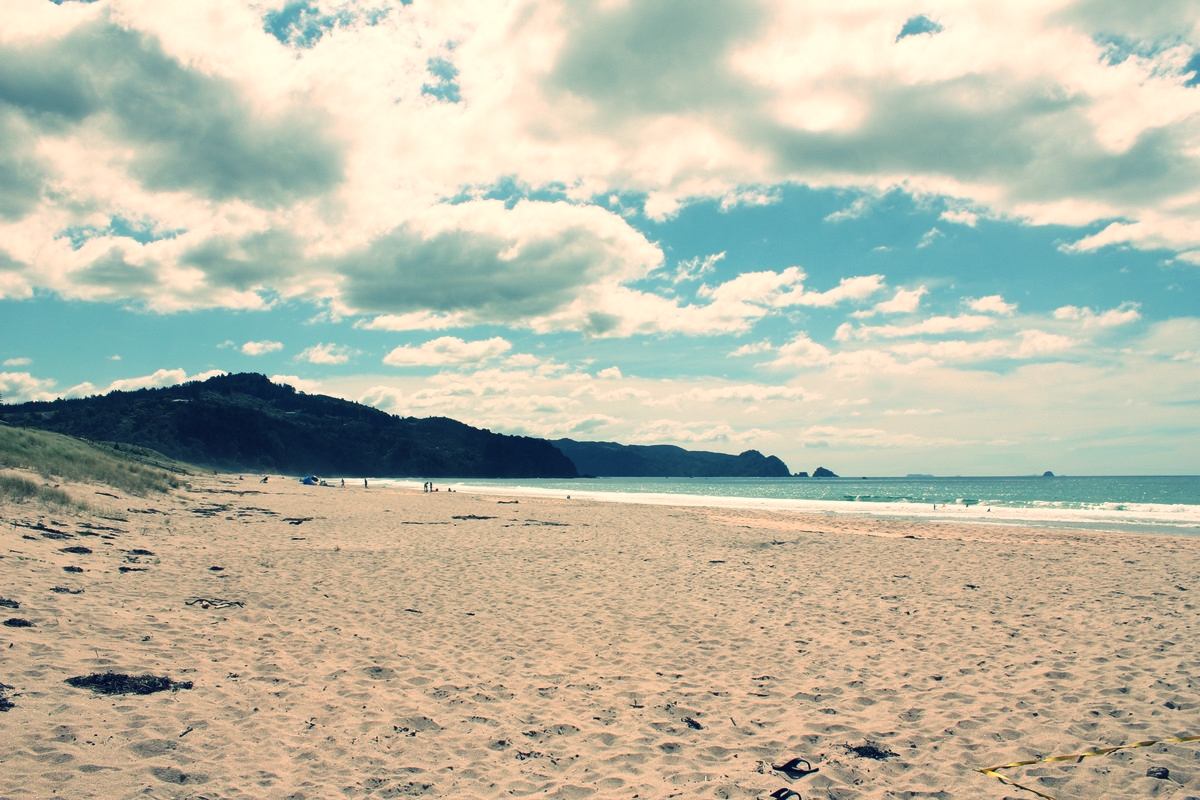 GALLERY — Tairua Escape