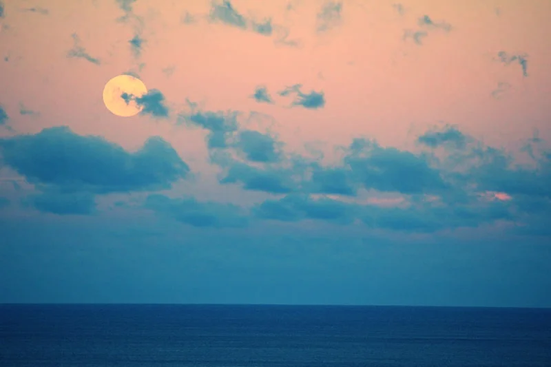 GALLERY — Tairua Escape