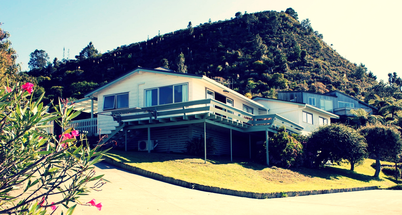 TAIRUA ESCAPE — Tairua Escape