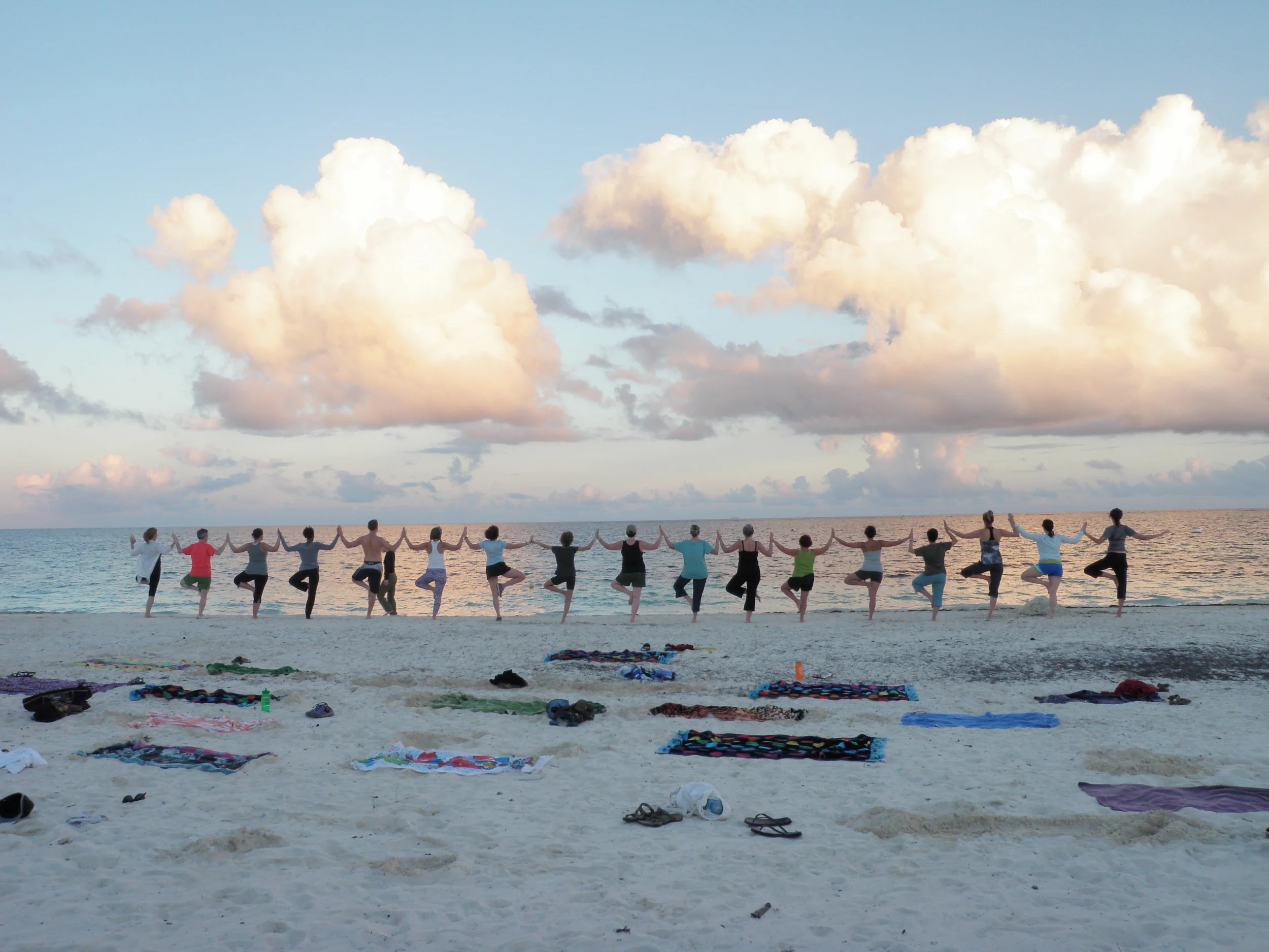 Mex14_beach_tree_lineup