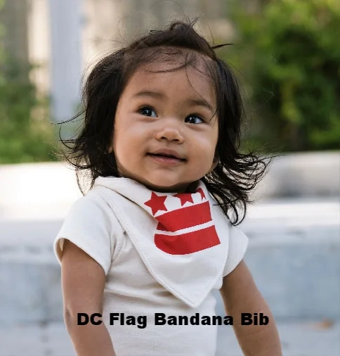 DC Flag Bandana Bib.jpg