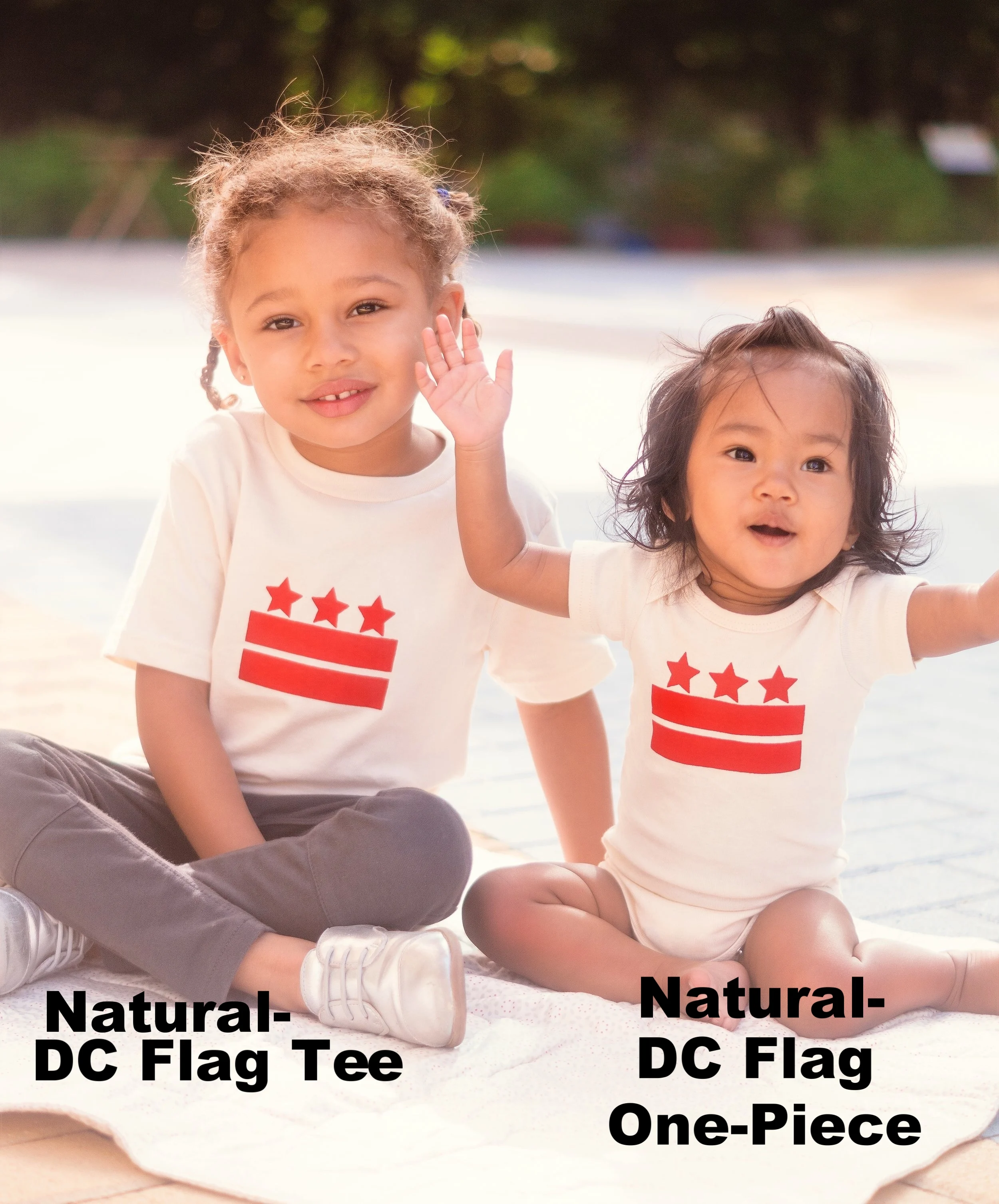 DC Flag Tee and Onesie 2017 2.jpg