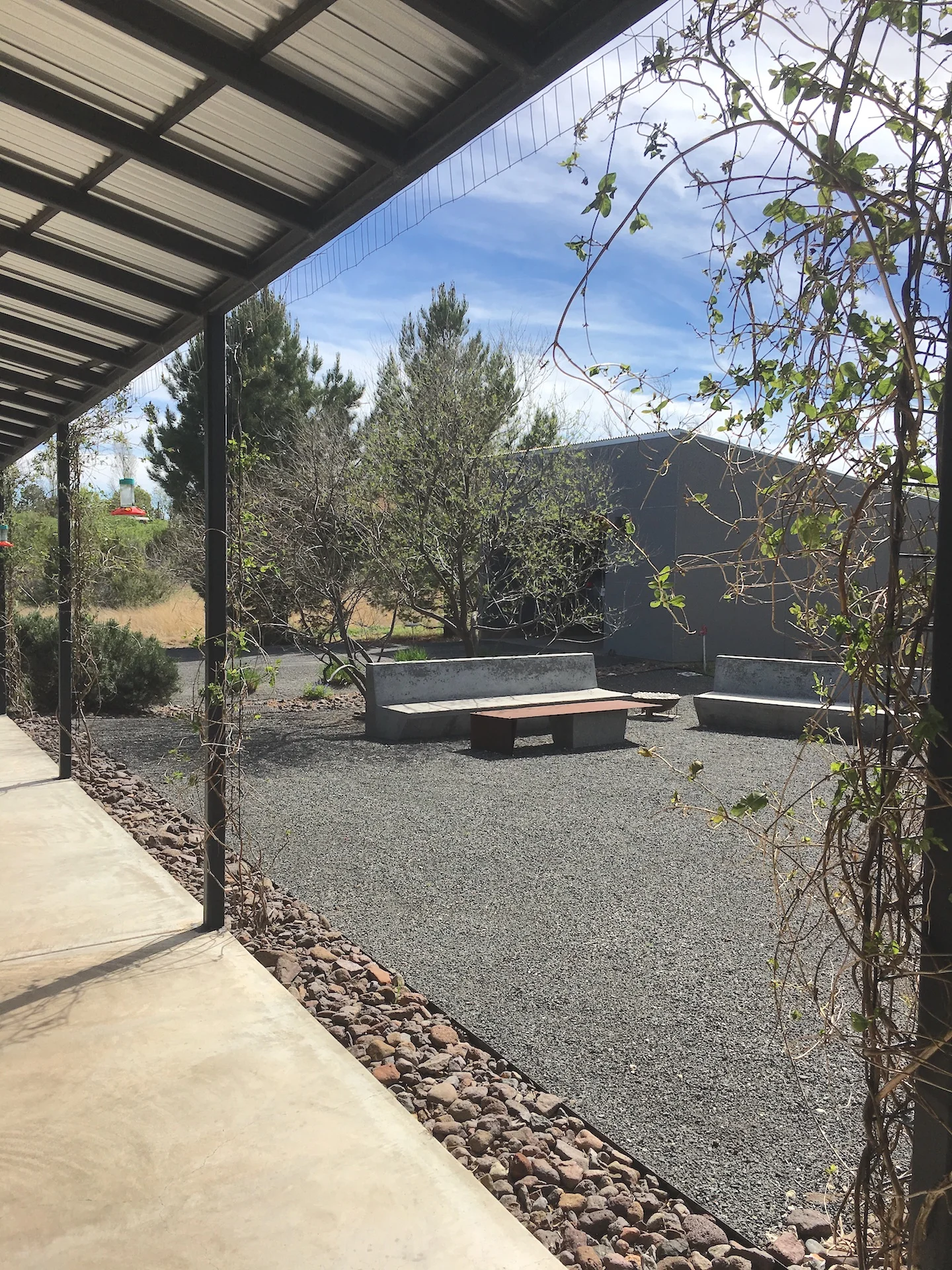 Anne South benches.jpg