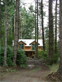 The house as seen through the woods. This is the southern exposure.