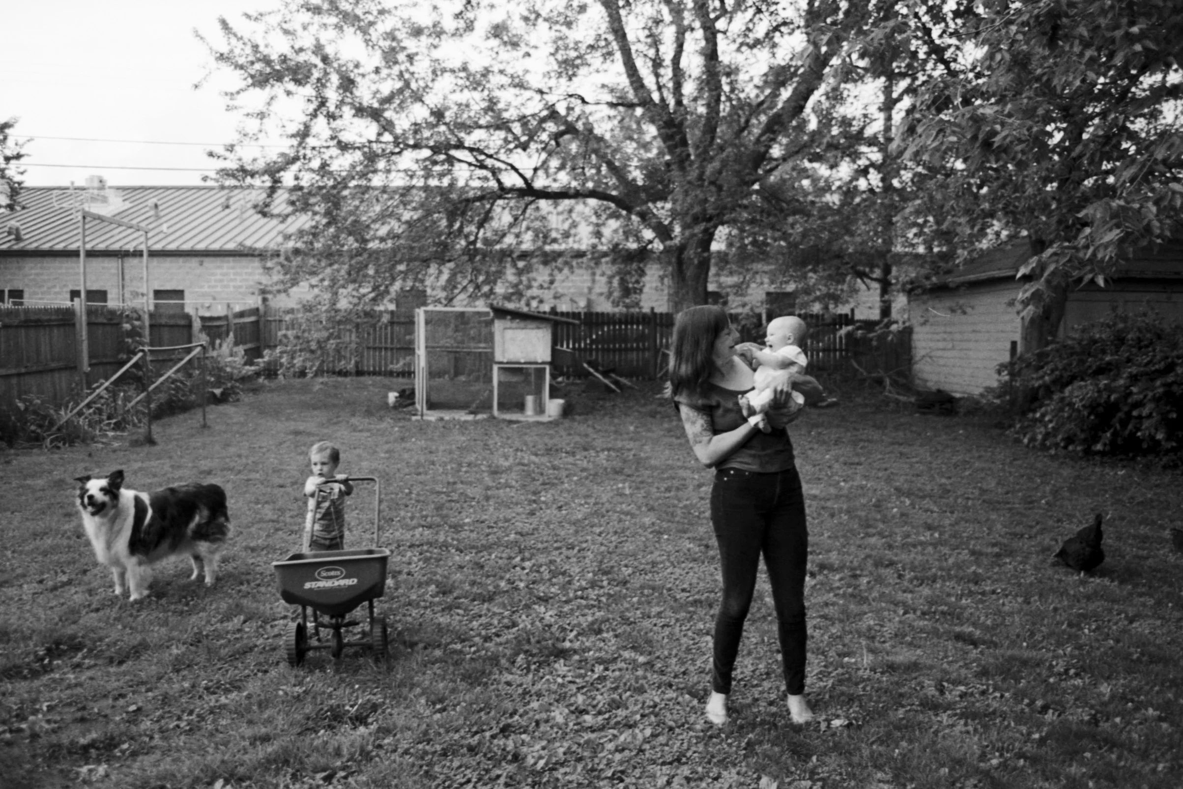 CZINSKI FAMILY - CASUAL BACKYARD PORTRAITS