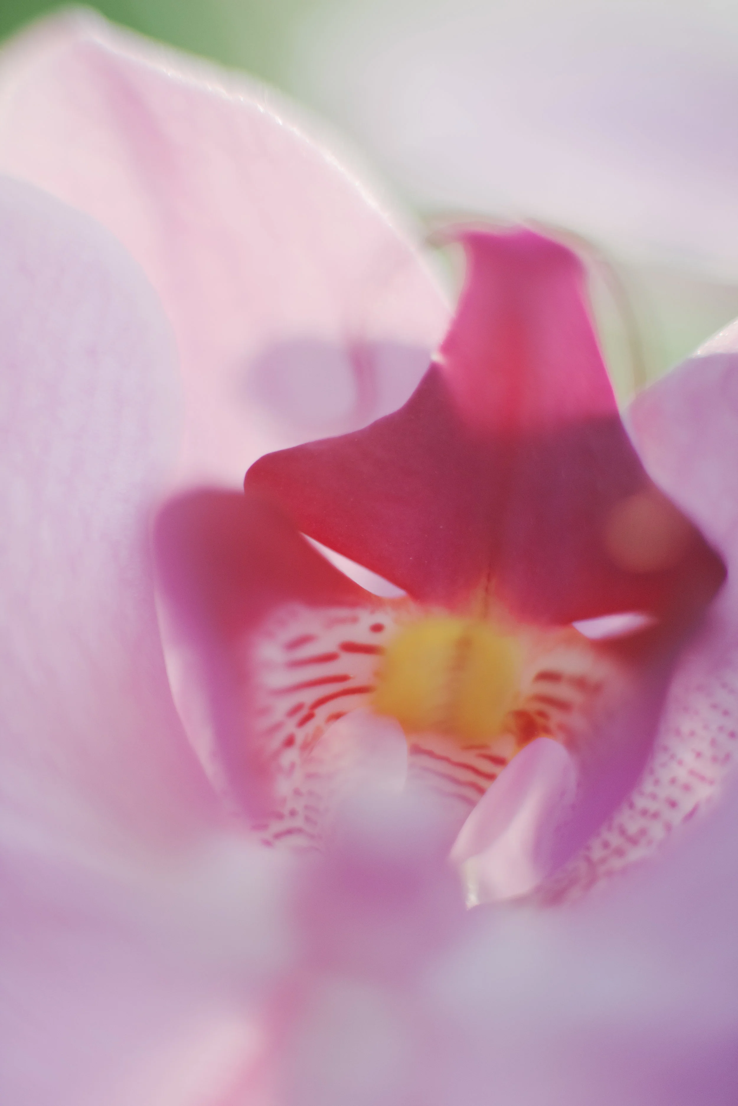 664_213.jpg