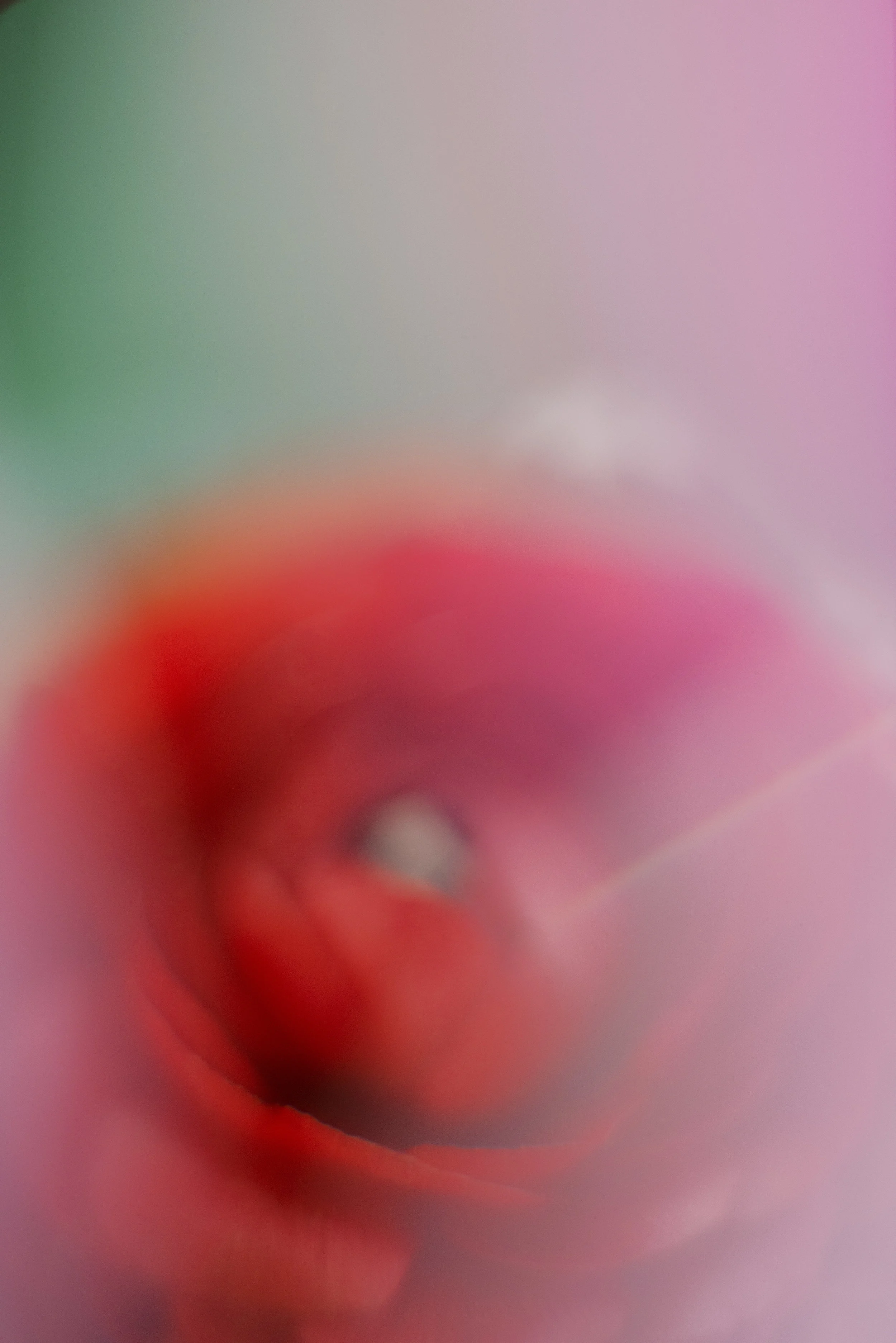 664_214.jpg