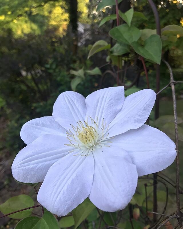 El tamaño de los problemas que veo a mi alrededor puede que sea inmenso, pero yo puedo ser parte de la solución. De otra forma, mi silencio y mi falta de acción se convierten en parte del problema. Puede que no pueda hacerlo todo, pero puedo hacer