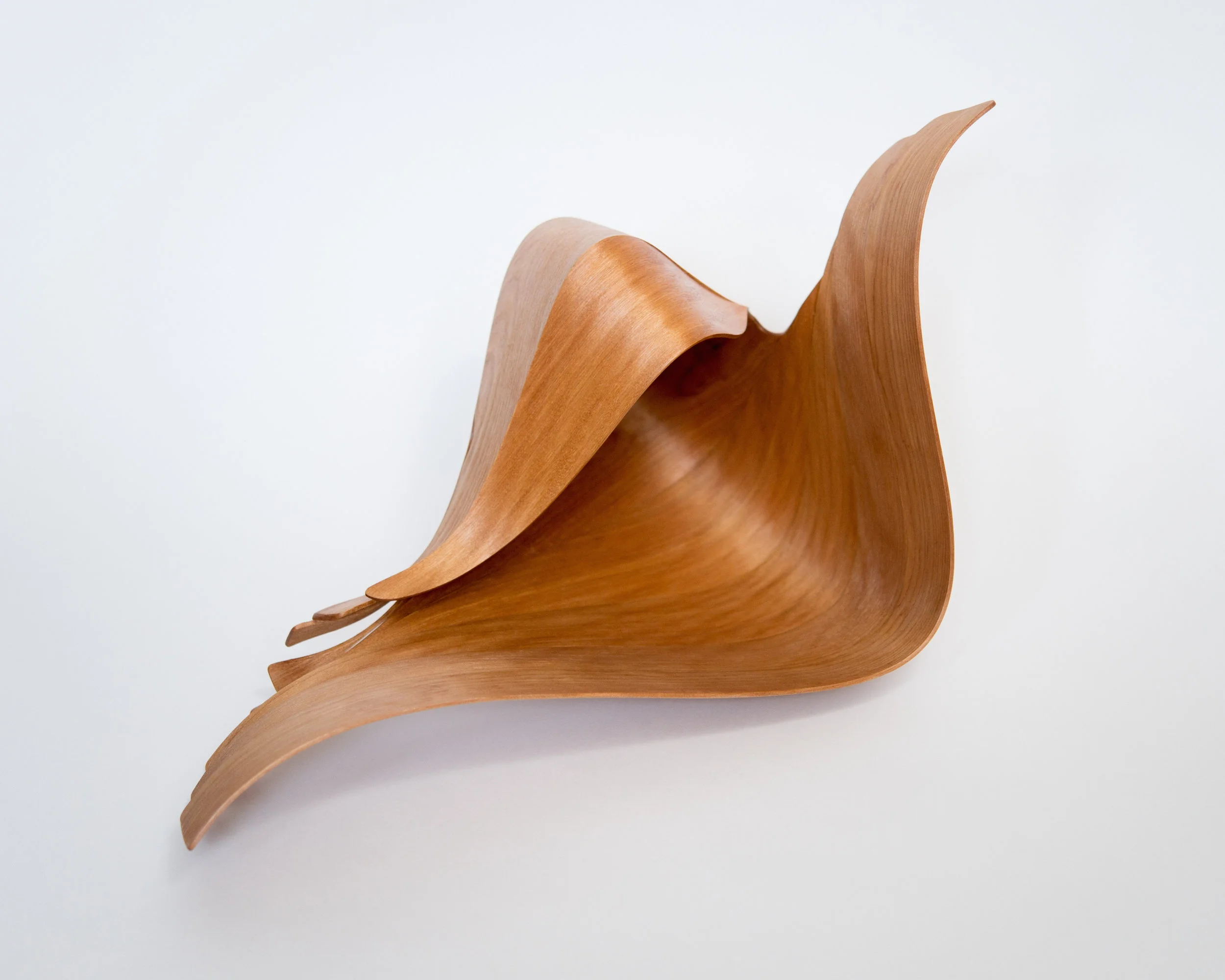 Redwood Shell View 1