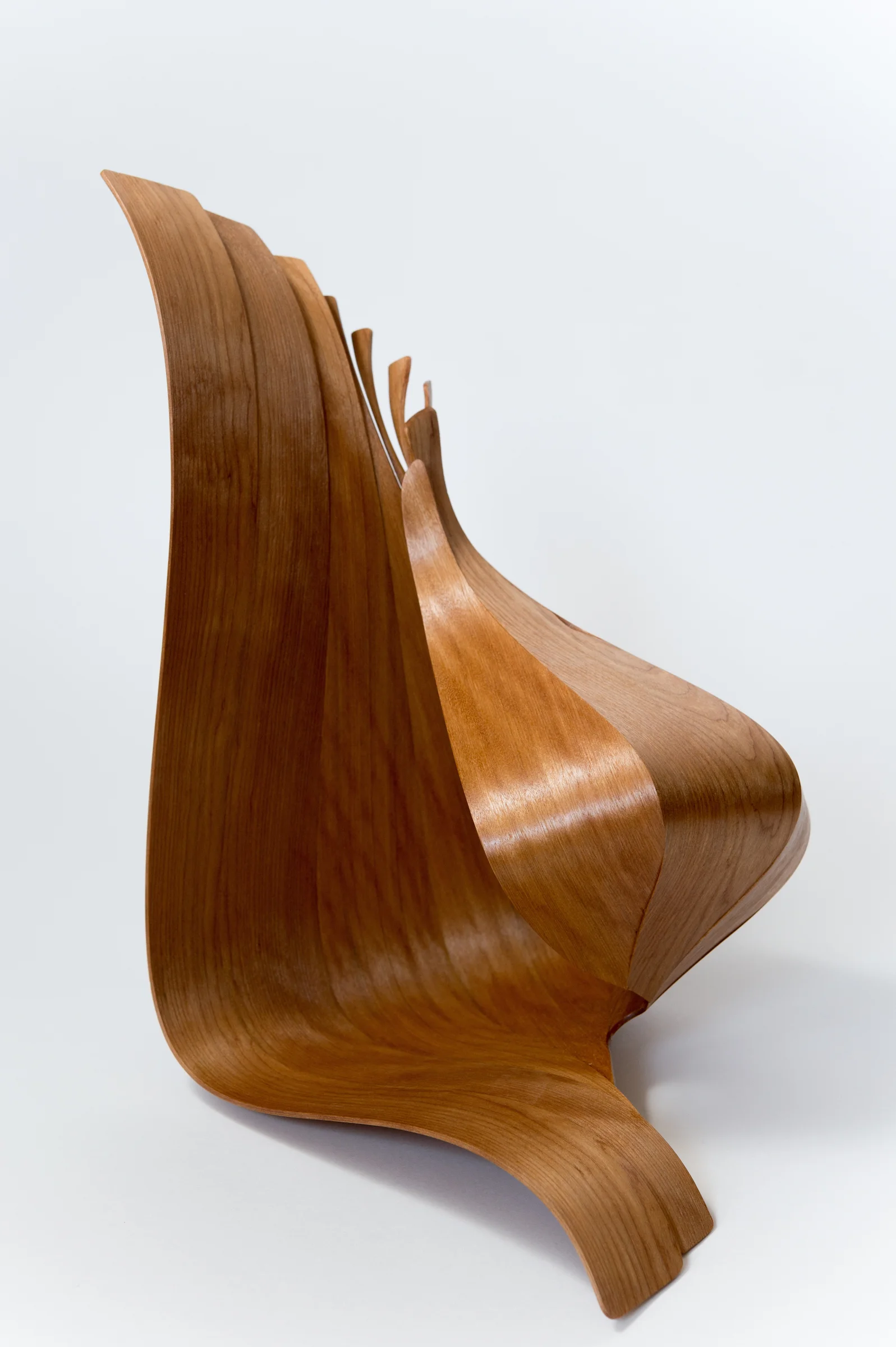 Redwood Shell View 2
