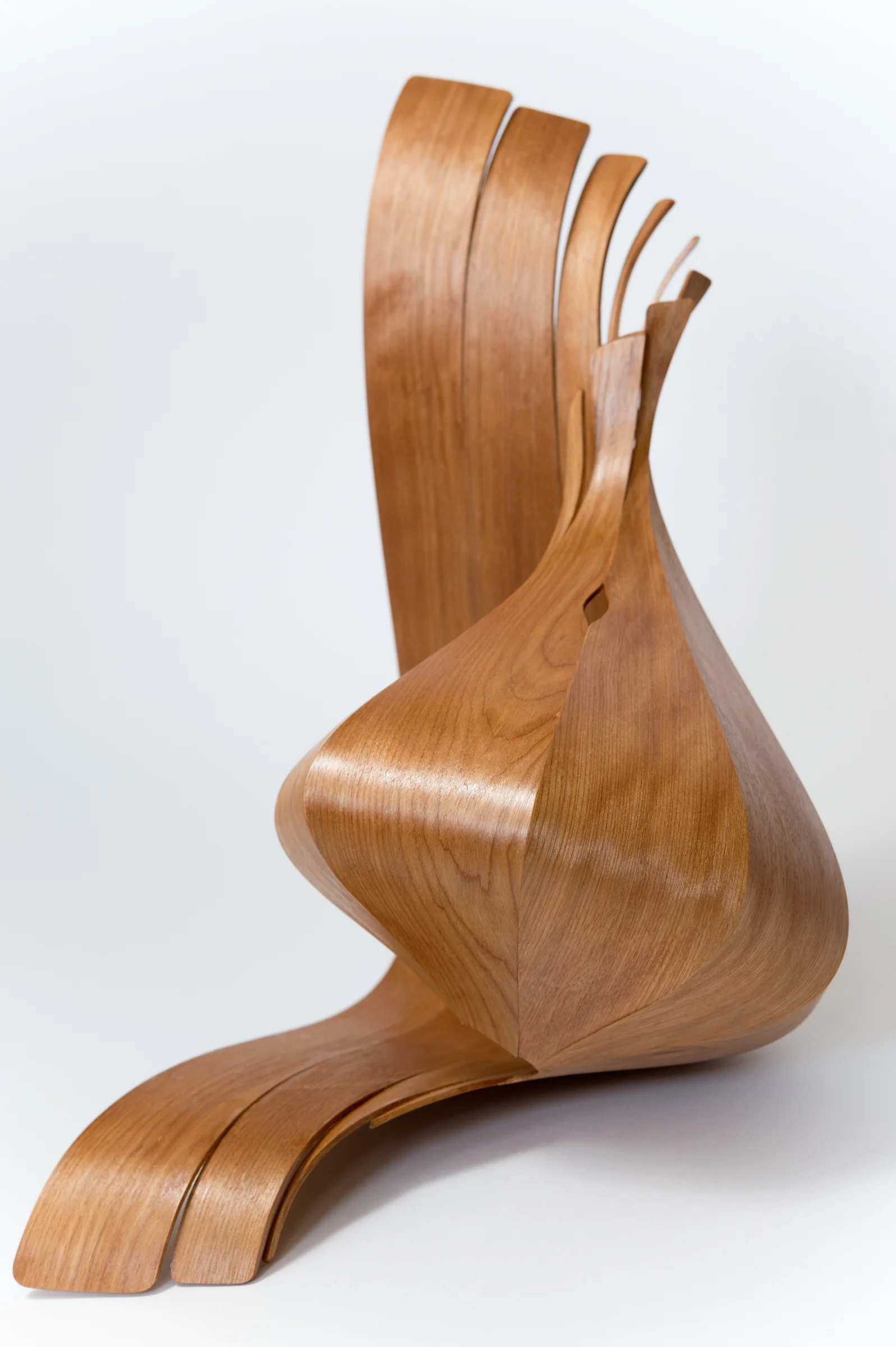 Redwood Shell View 3