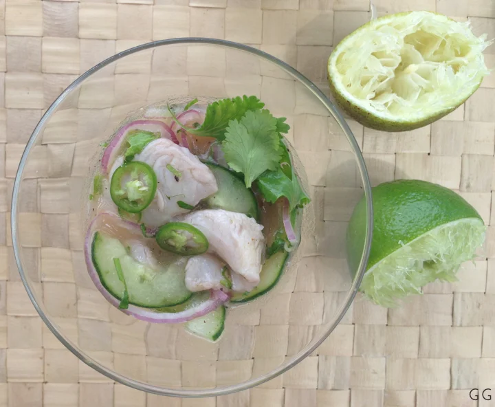 Mahi Mahi Ceviche 