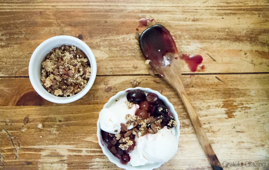 Red Wine Stewed Grapes & Honey Frozen Yogurt 