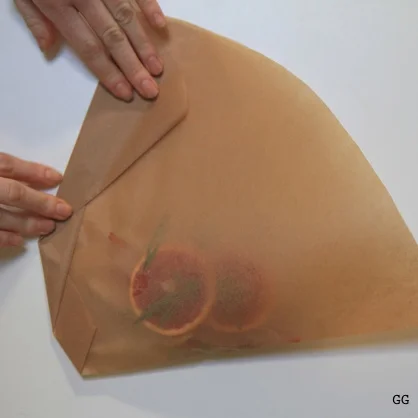 fold1